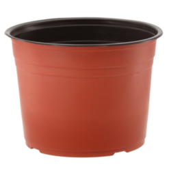 OGR.DONICZKA PLAST.NA TUJE 300*290 4965