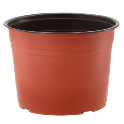 OGR.DONICZKA PLAST.NA TUJE 300*290 4965